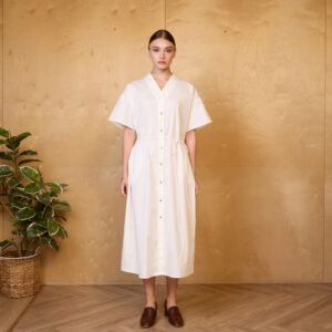 The Essential Shirtdress